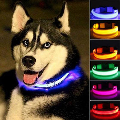 Nylon LED Night Safety Pet Collar